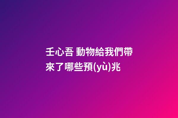 壬心吾 動物給我們帶來了哪些預(yù)兆